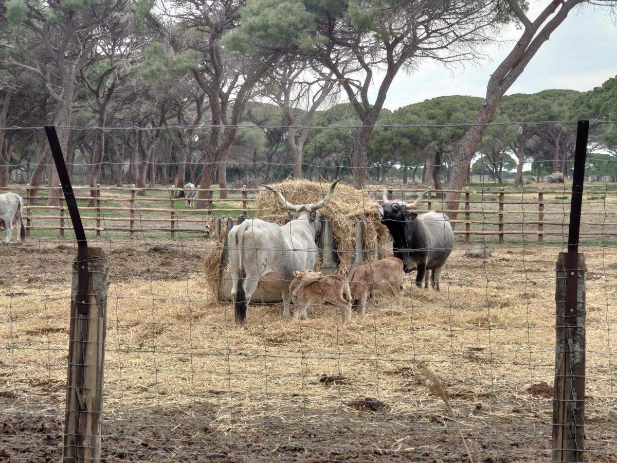 Agriturismo Poderedodici Orbetello Esterno foto